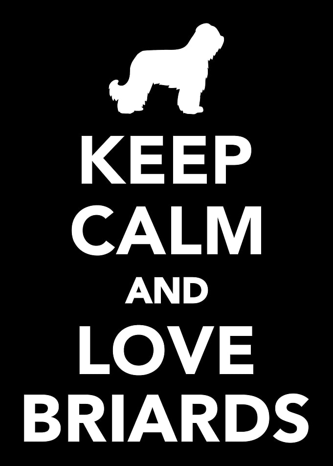 Briard