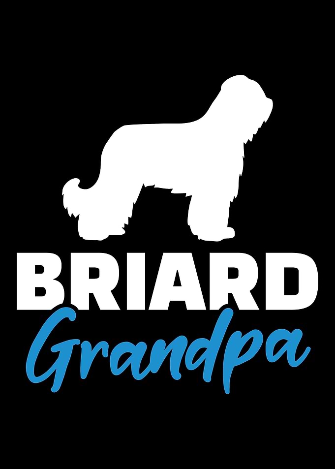 Briard