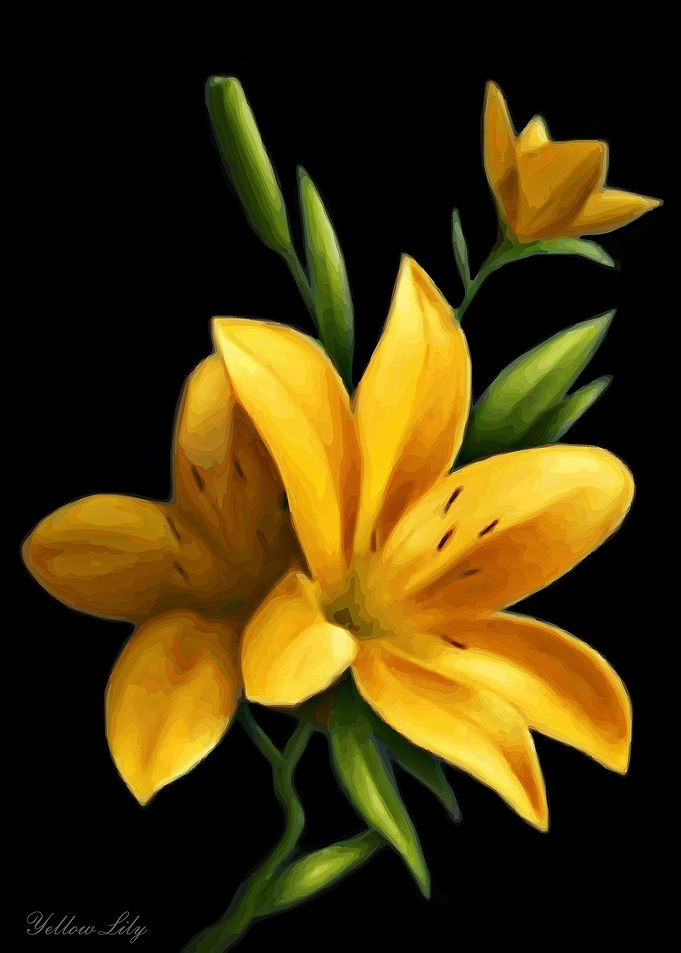 Beautiful Flower