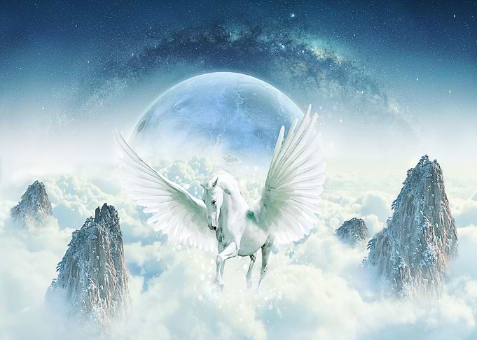 Animal fantasy