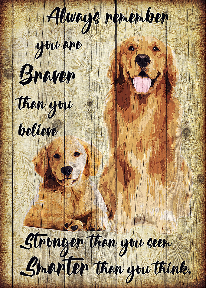 Golden Retriever
