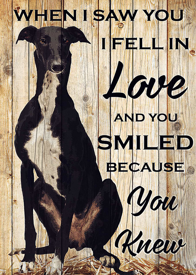 Greyhound