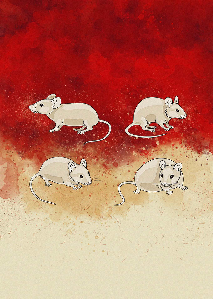 Mice