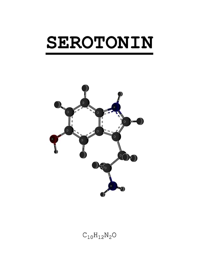 Serotonin