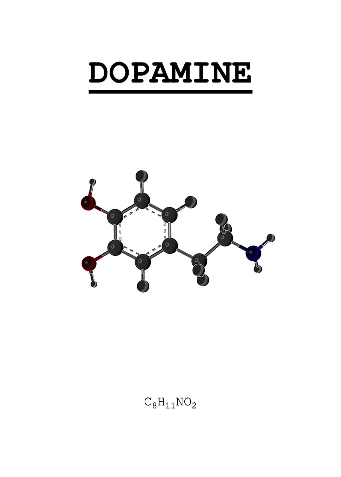 Dopamine