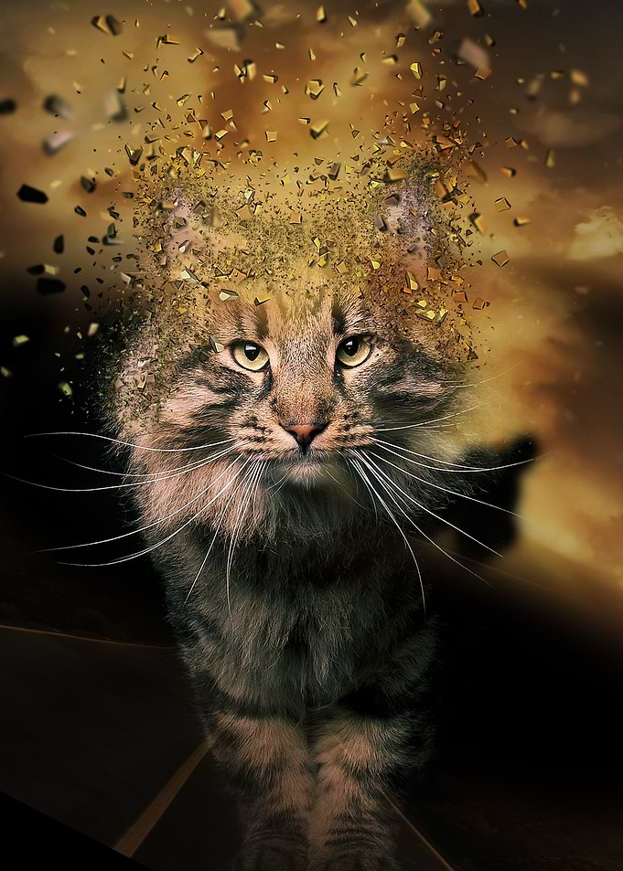 le Chat