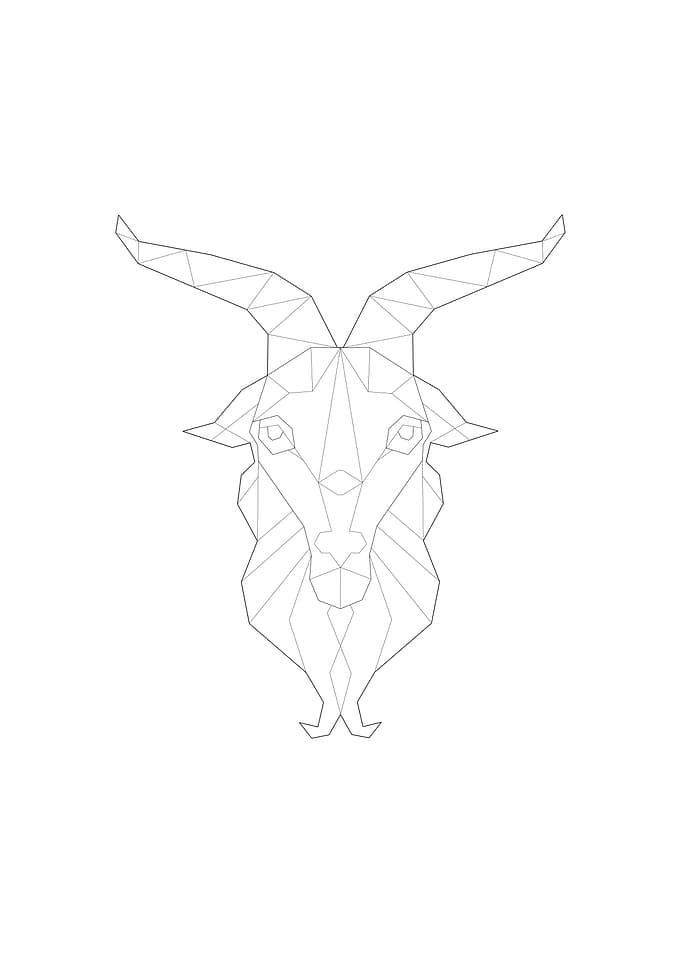 Capricorn