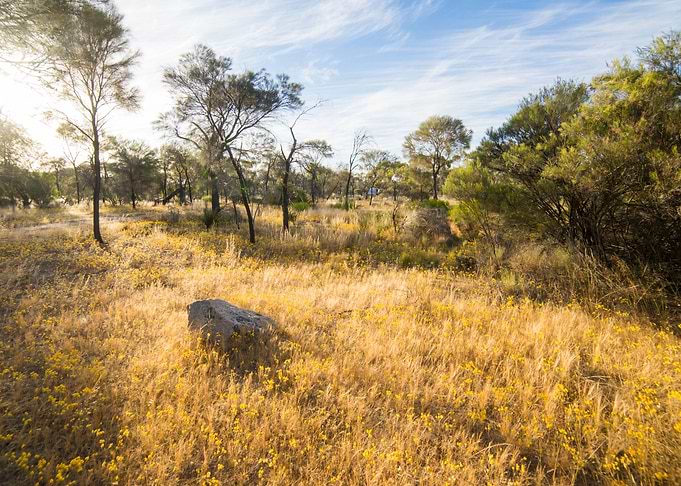 Arid Australia Australian