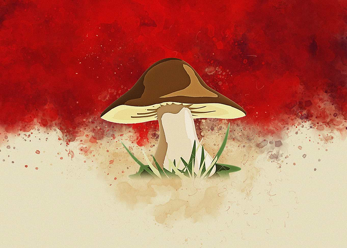 Mushrooms