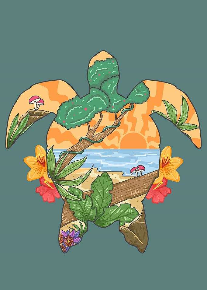 Turtle Summer Beach