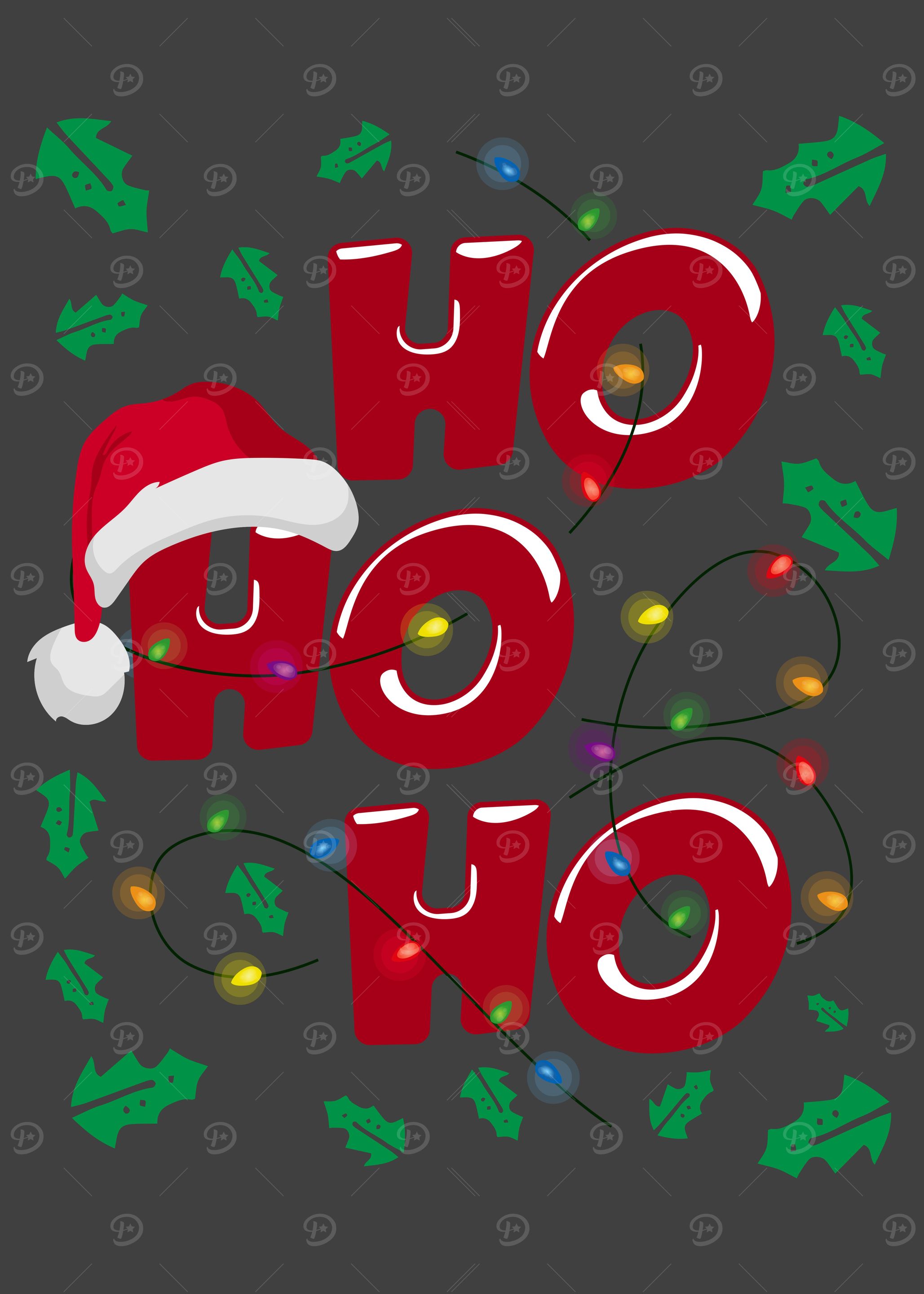 Ho ho ho Santa Hat
