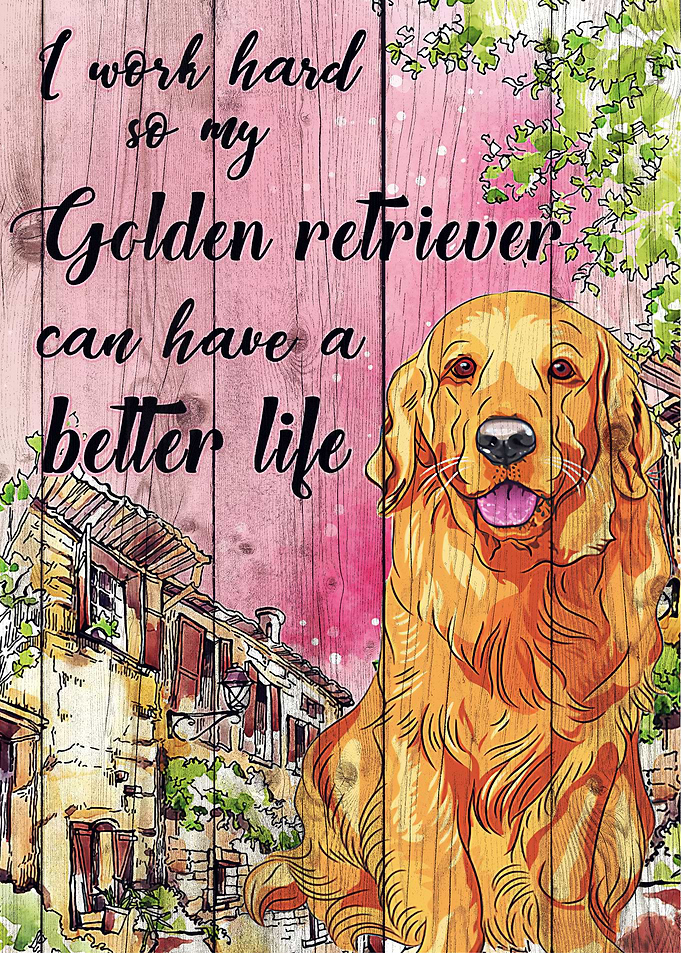 Golden Retriever