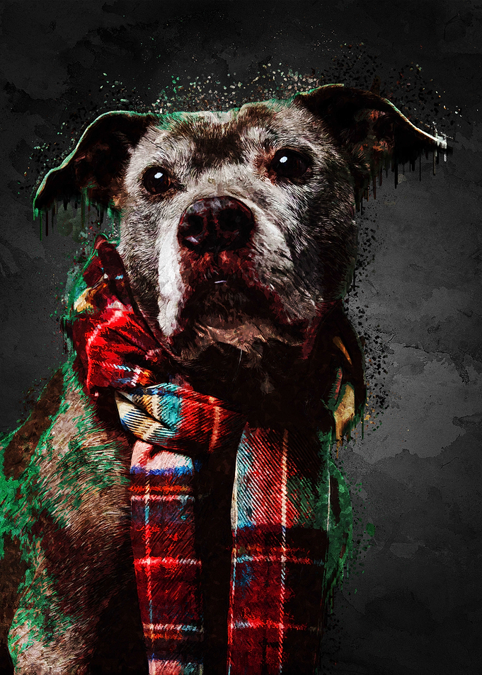 Stylish Dog Portrait