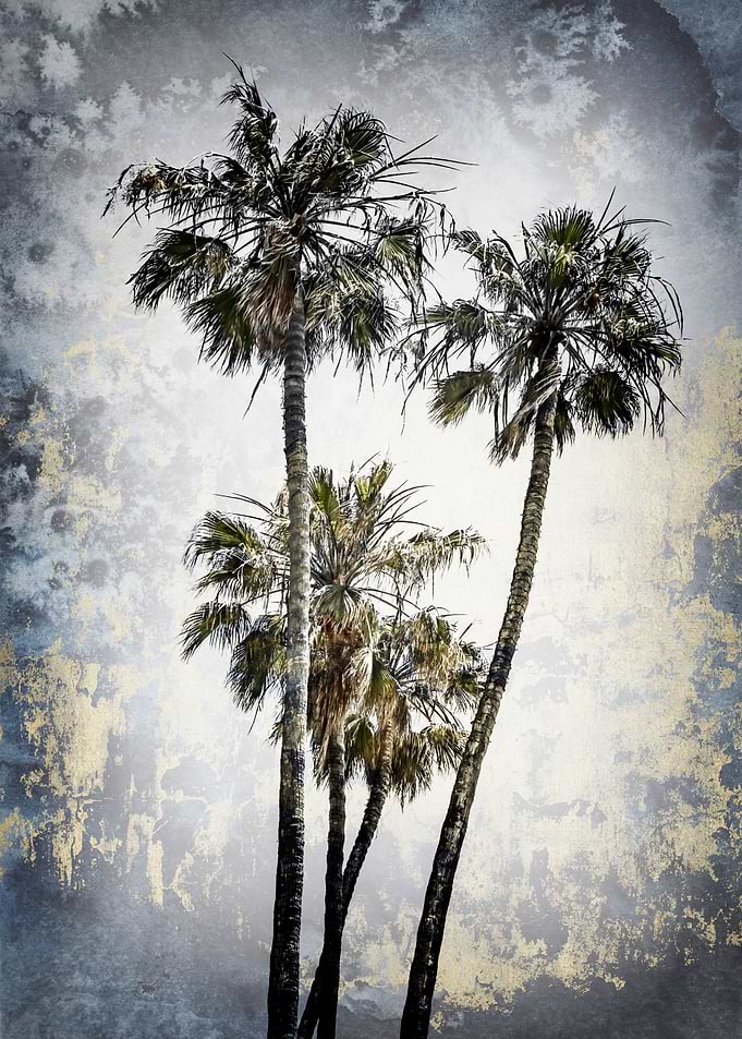 MODERN ART Palm Trees