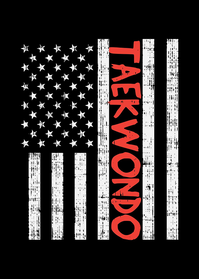 US Flag Taekwondo