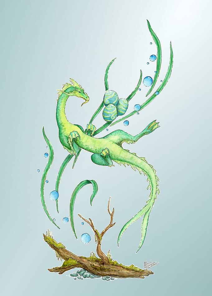 Water Drake Eggs