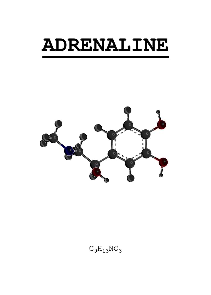 Adrenaline