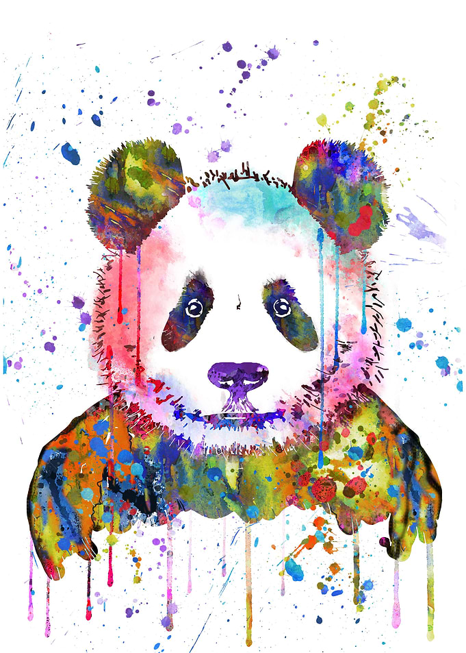 Panda