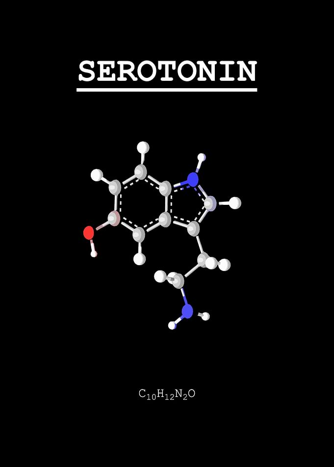 Serotonin