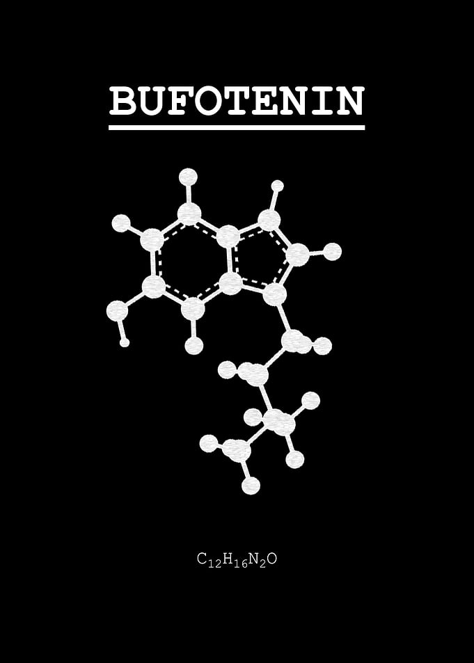Bufotenin
