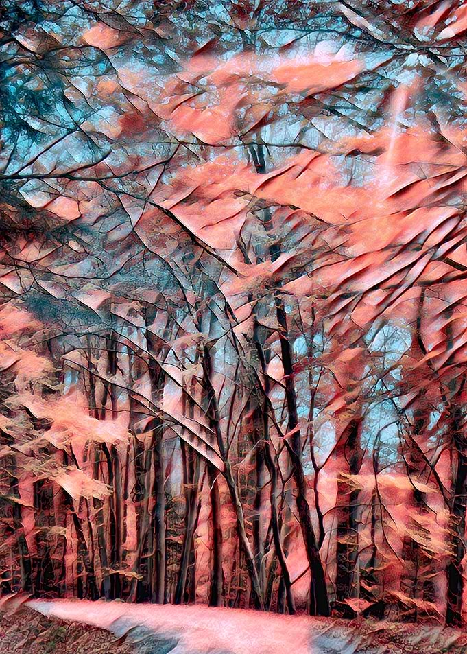 Abstract Forest