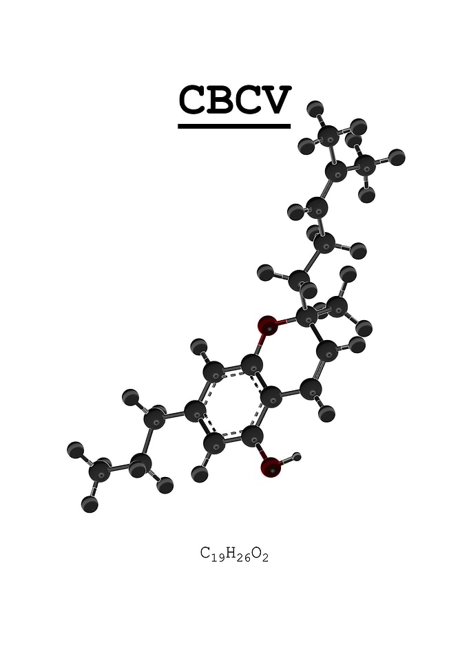 CBCV
