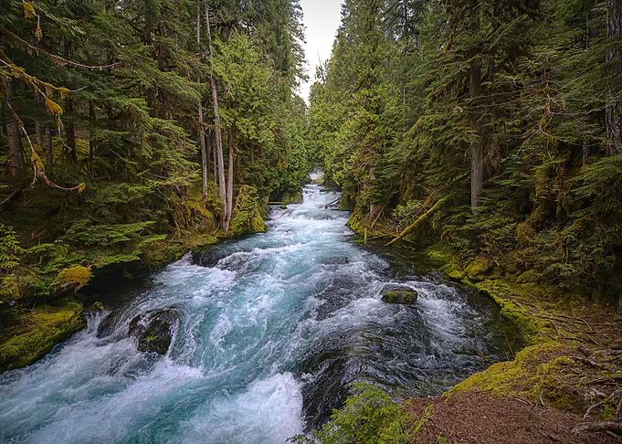 Nature
