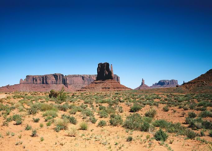 Desert Desolation
