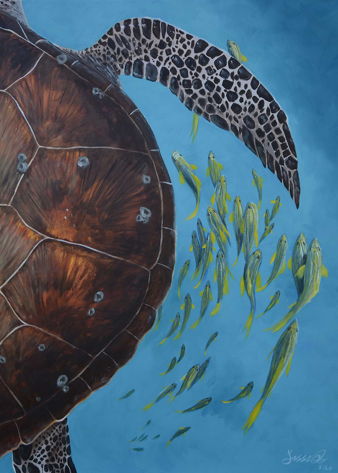 Sea Turtle