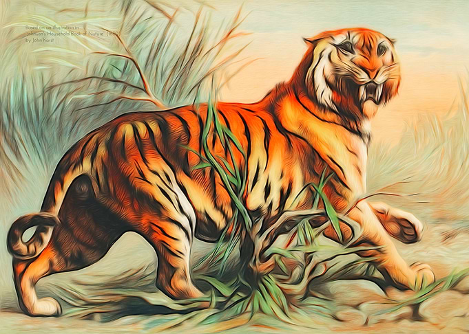 Tiger
