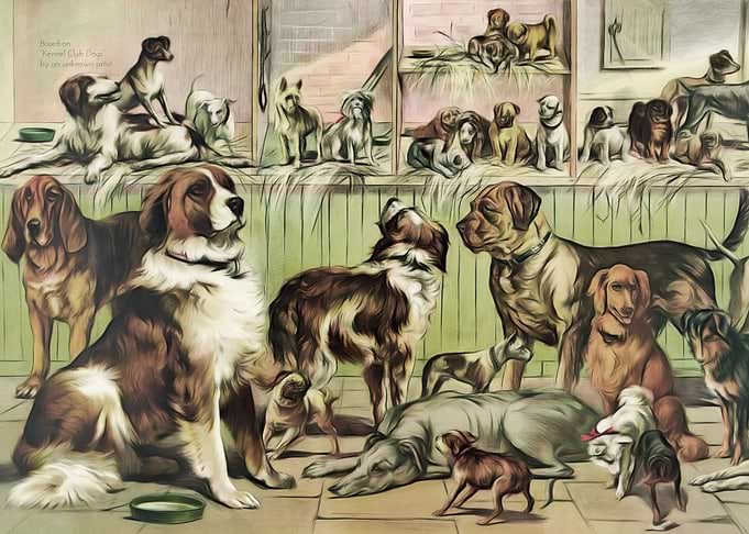 Kennel Club Dogs