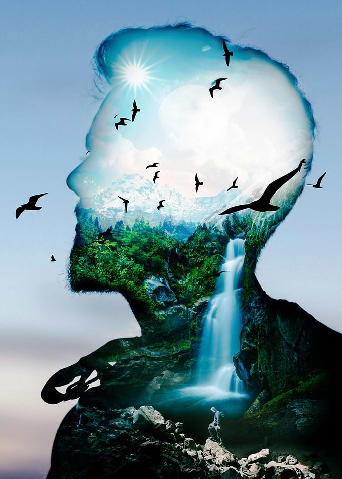 Waterfall Nature Portrait