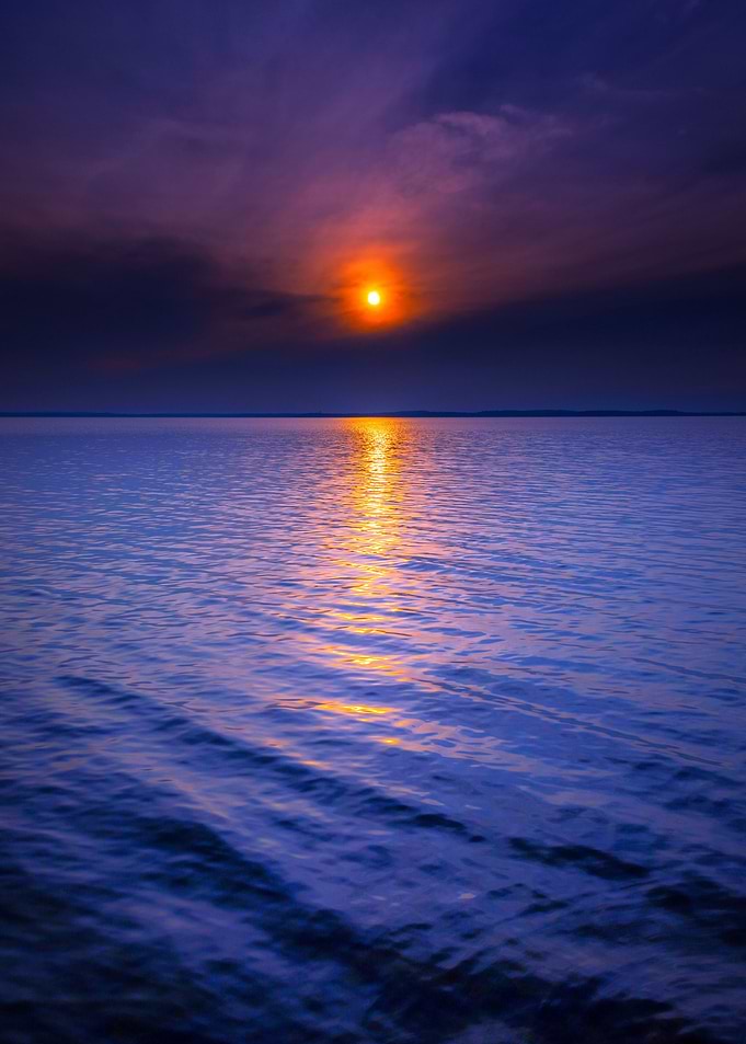 Purple Sunset