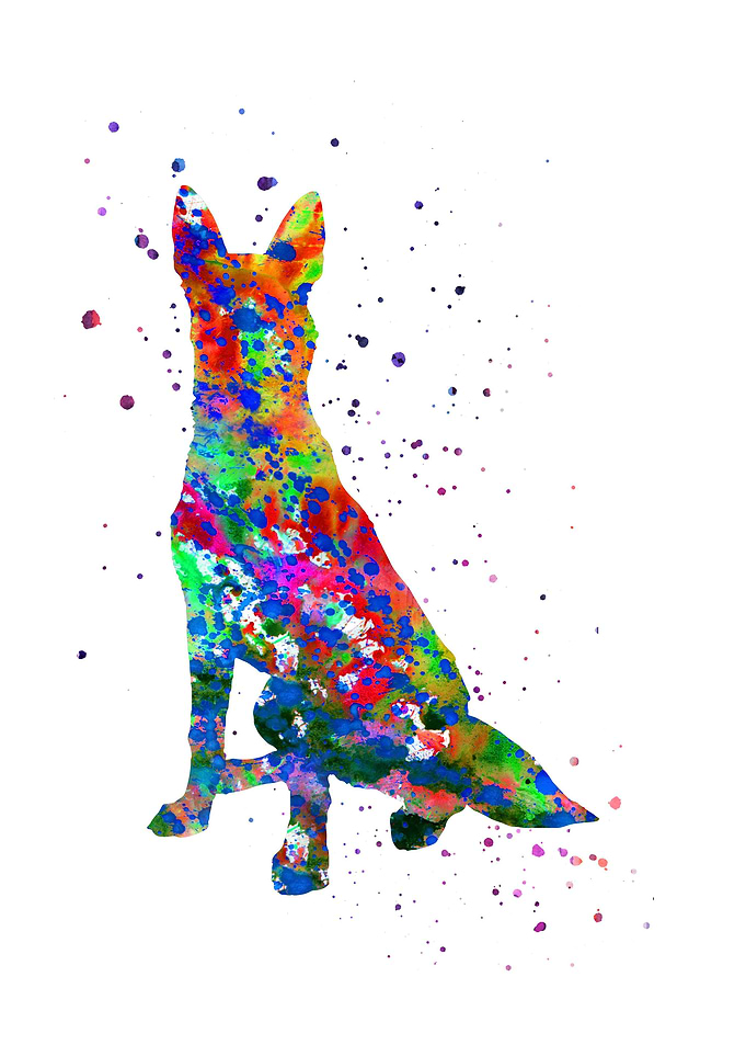 German Shepherd
