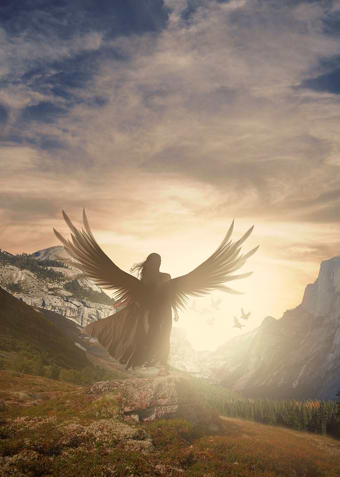 Freedom