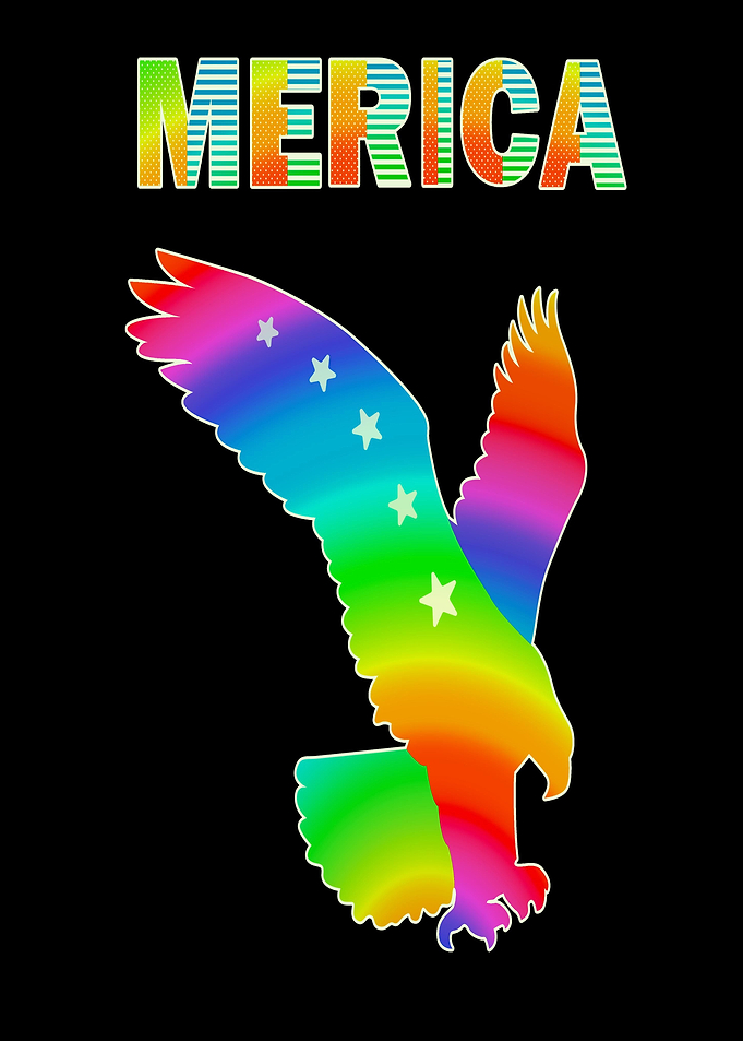 Merica Eagle America 4th