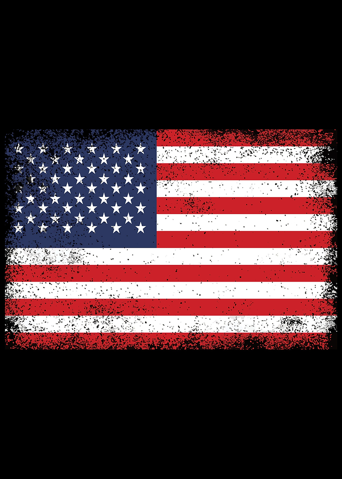 UNITED STATES OF AMERICA