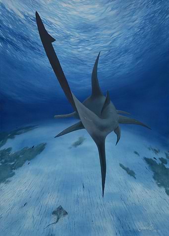 Hammerhead