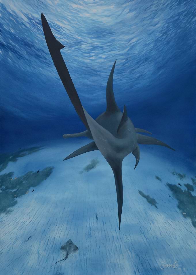 Hammerhead