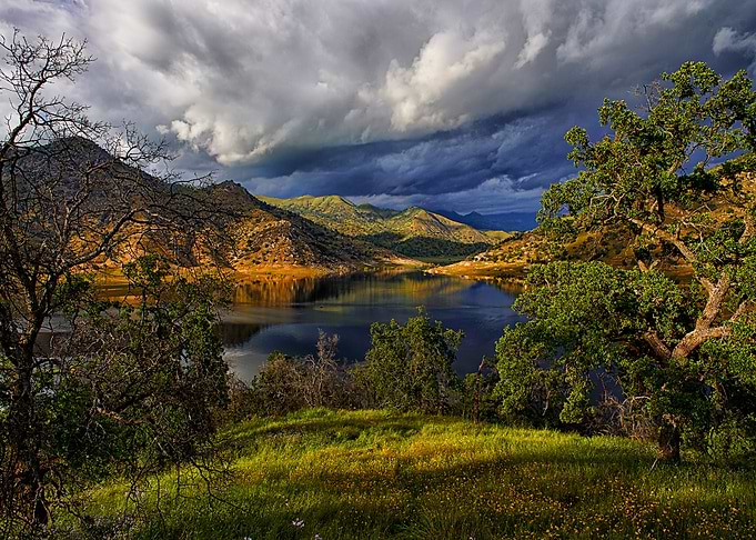 Nature