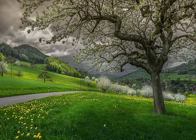 Nature