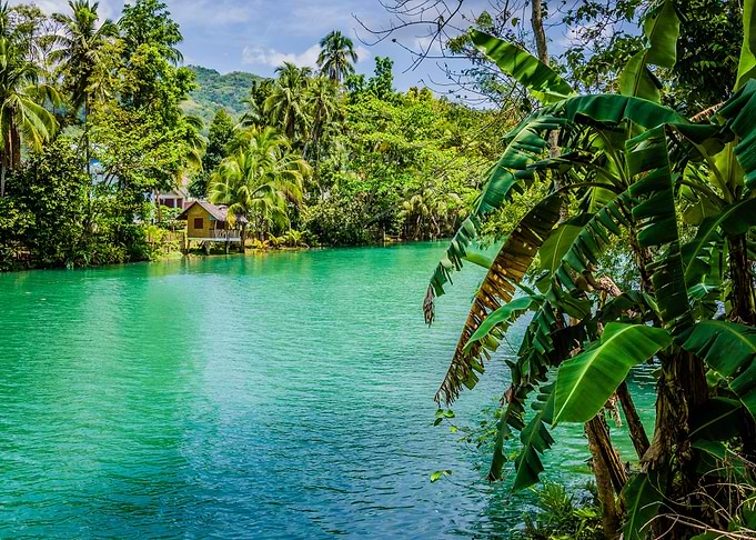 Jungle Green River Loboc A