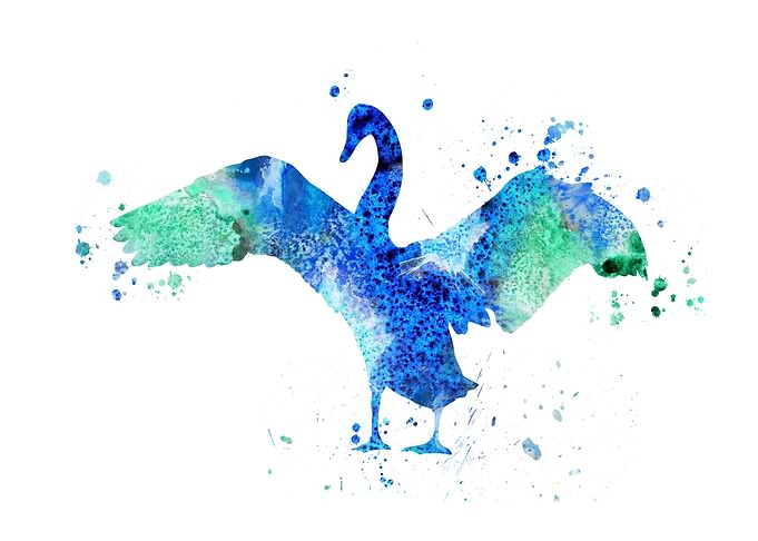 Swan