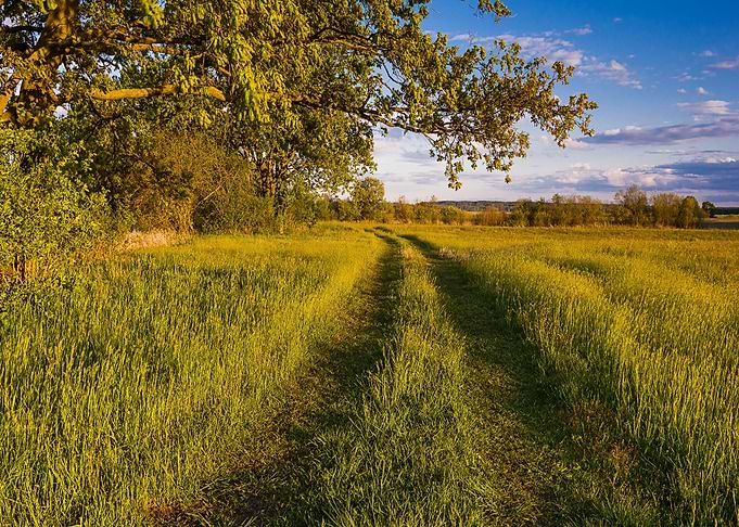 Nature