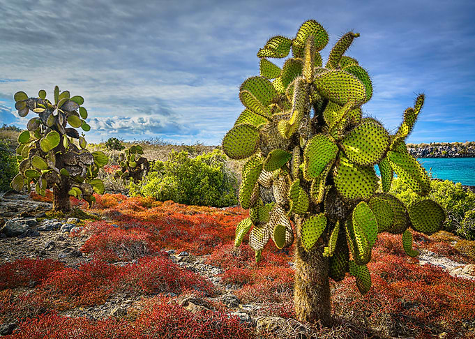 Nature