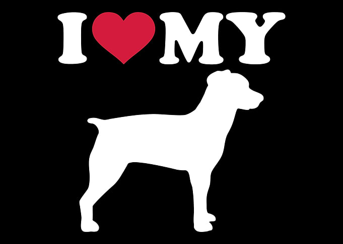 Brittany Spaniel