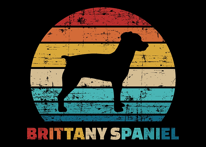 Brittany Spaniel