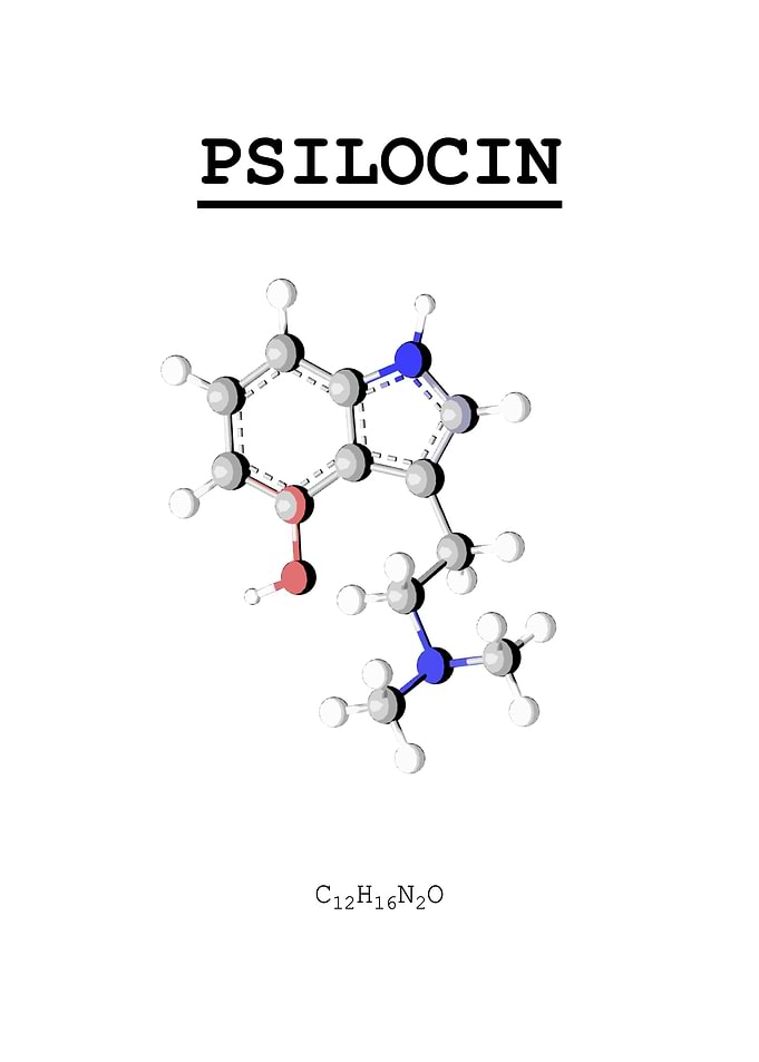 Psilocin