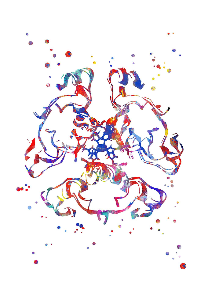 Insulin structure