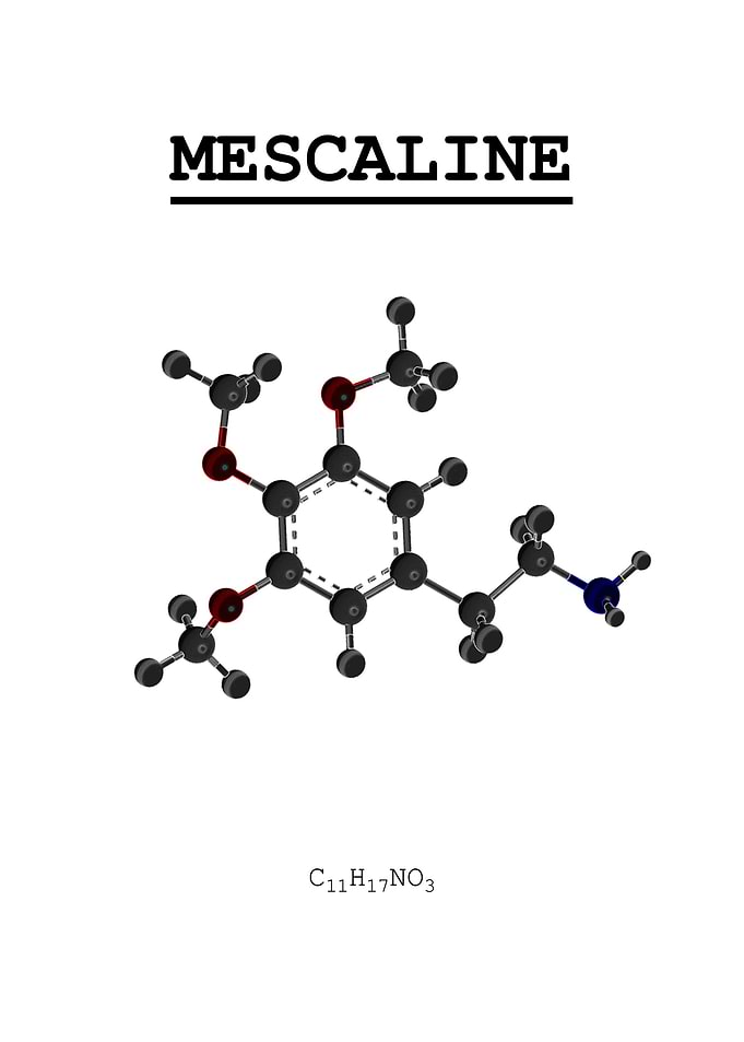 Mescaline